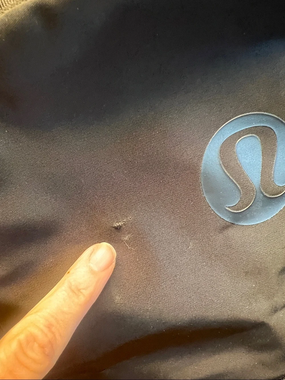 Lululemon Crew Backpack Large Black